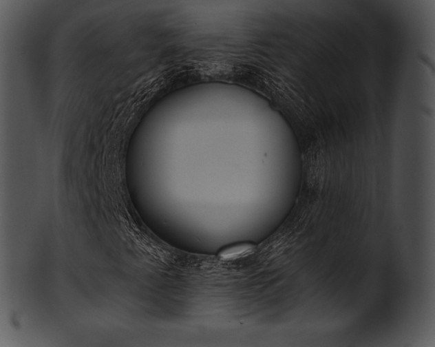 X0000101461345200807141257