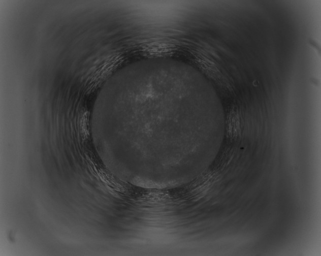 X0000101461346200807141257