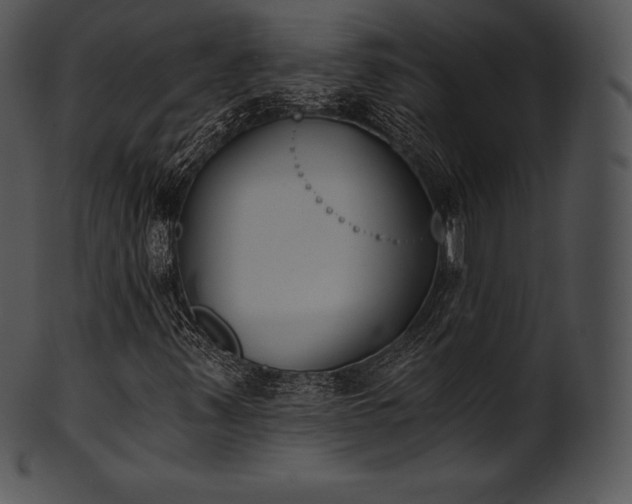 X0000101461347200807141257