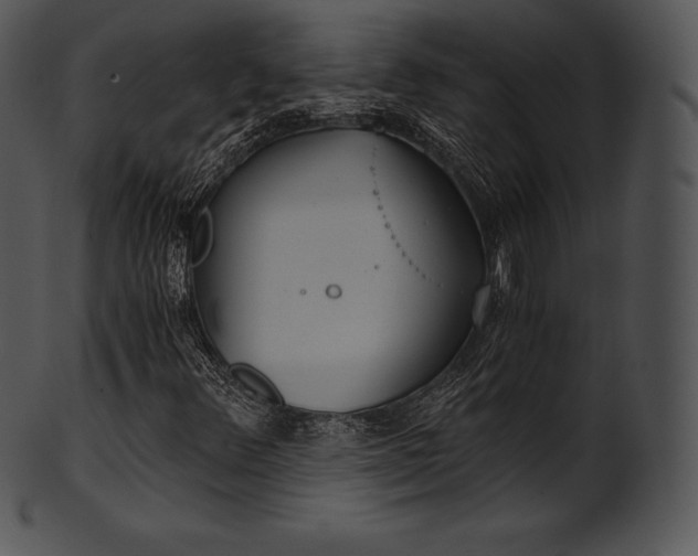 X0000101461348200807141257