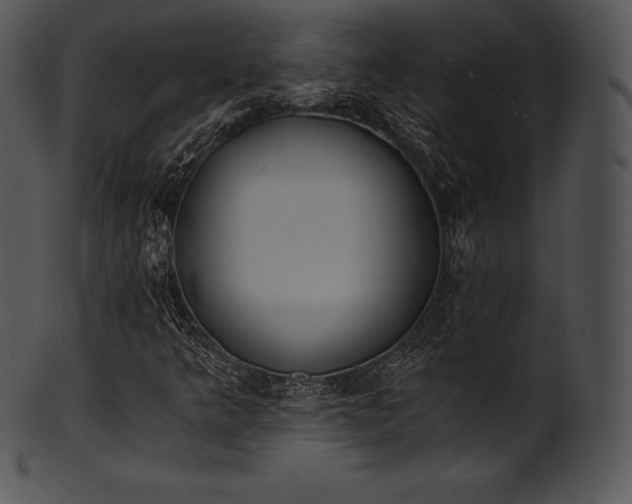 X0000101461349200807141257