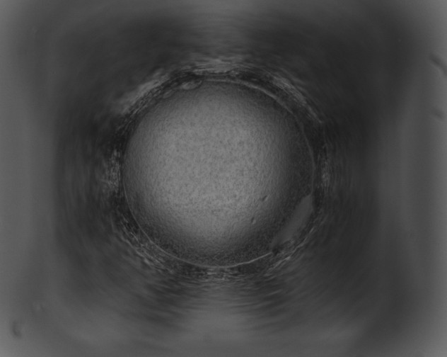 X0000101461350200807141257