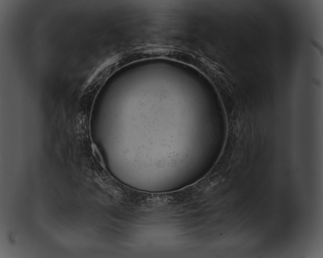 X0000101461351200807141257