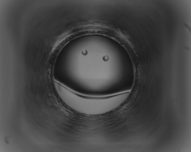X0000101461352200807141257