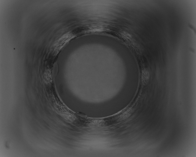 X0000101461353200807141257