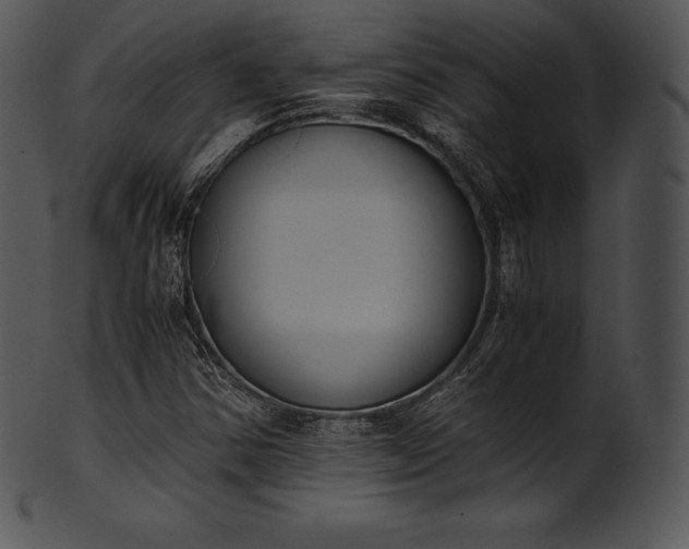 X0000101461354200807141257