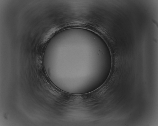 X0000101461355200807141257