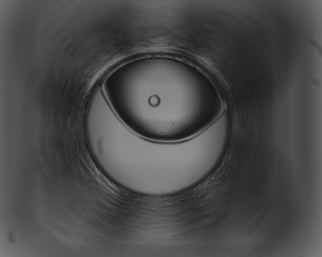 X0000101461356200807141257