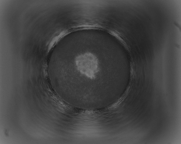 X0000101461357200807141257