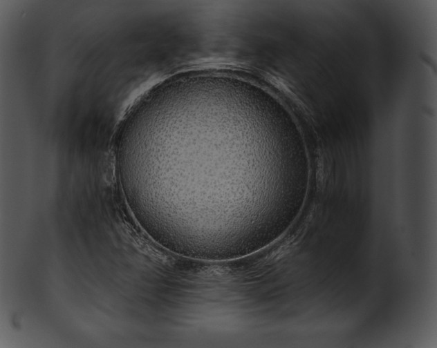 X0000101461358200807141257