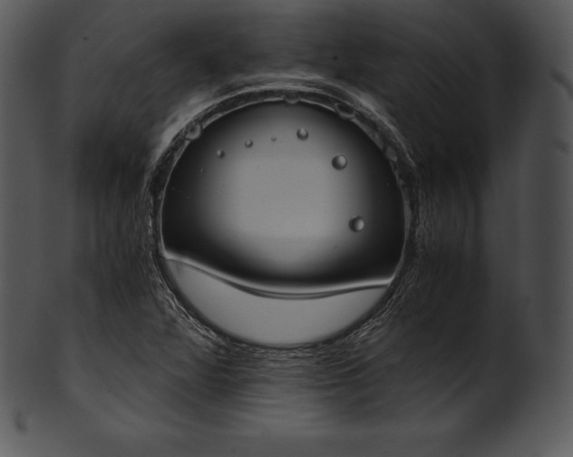 X0000101461360200807141257