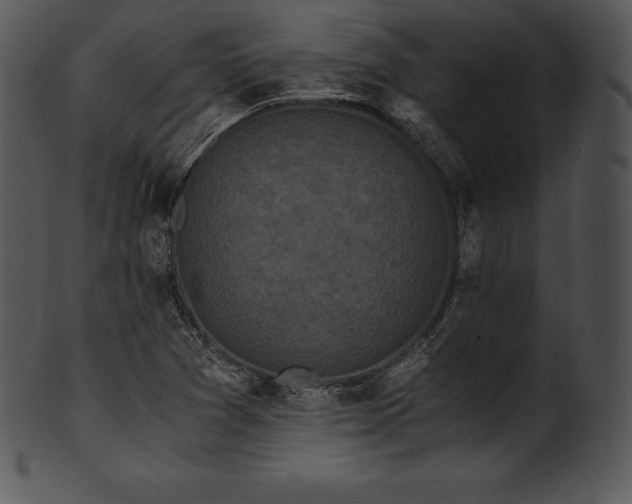 X0000101461361200807141257