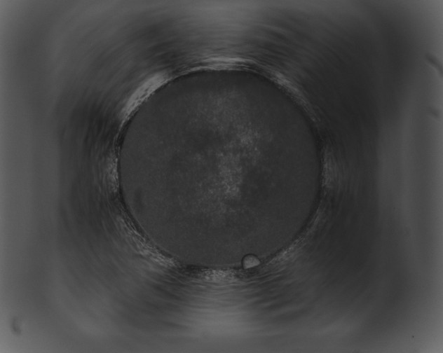 X0000101461362200807141257