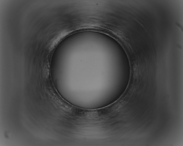 X0000101461363200807141257