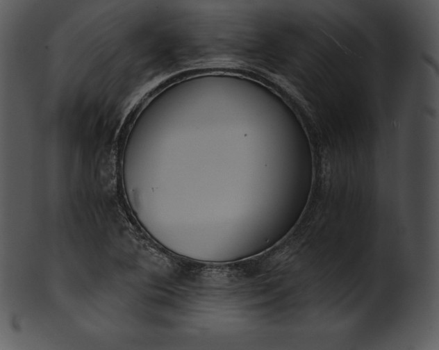 X0000101461364200807141257