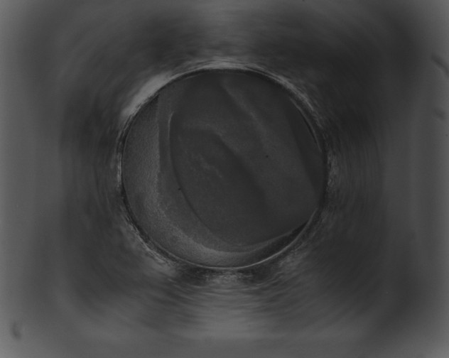 X0000101461367200807141257