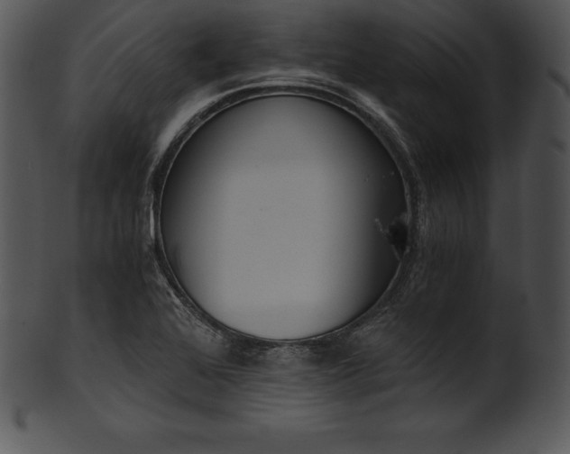 X0000101461368200807141257