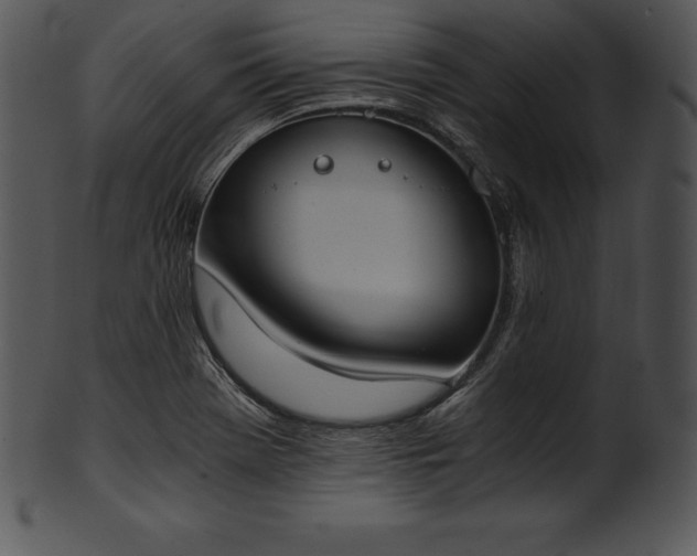 X0000101461369200807141257