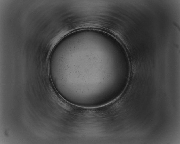 X0000101461371200807141257