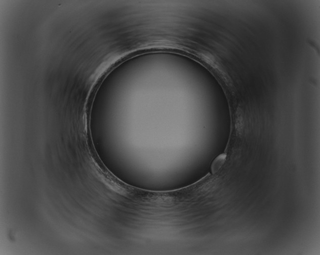 X0000101461372200807141257