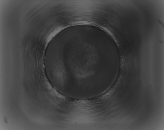 X0000101461373200807141257