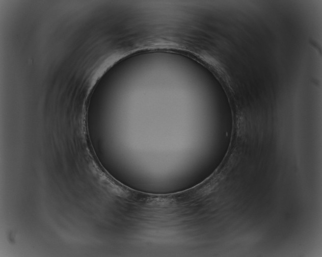 X0000101461374200807141257