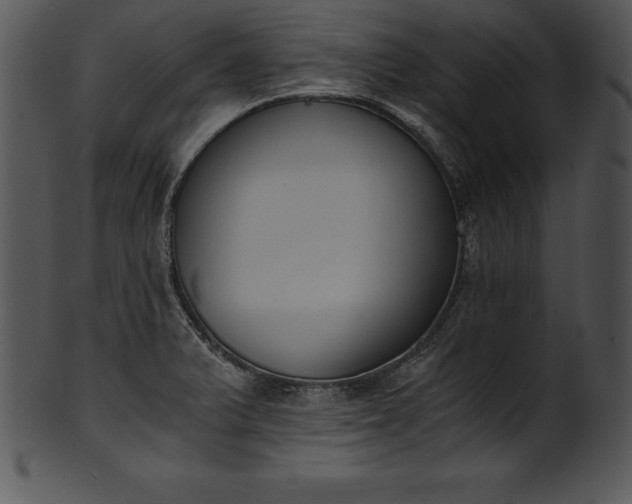 X0000101461375200807141257