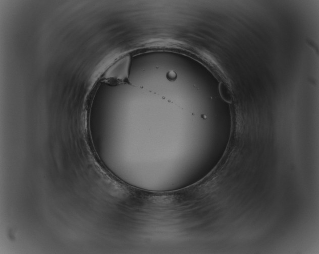 X0000101461376200807141257