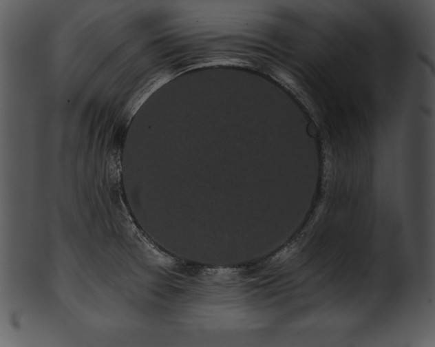 X0000101461377200807141257