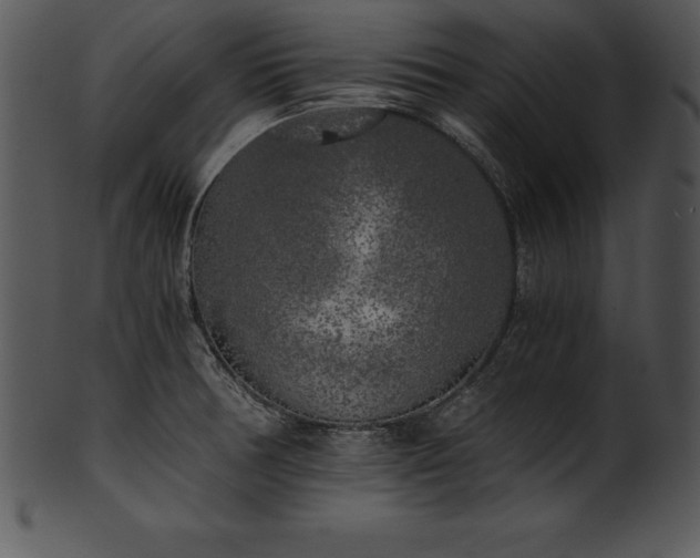 X0000101461378200807141257