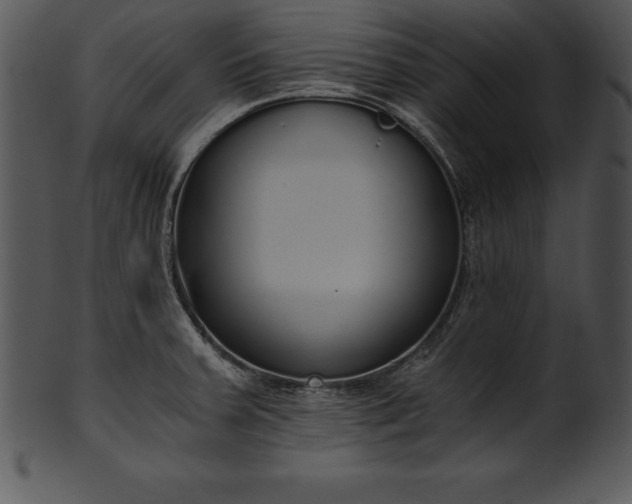 X0000101461379200807141257