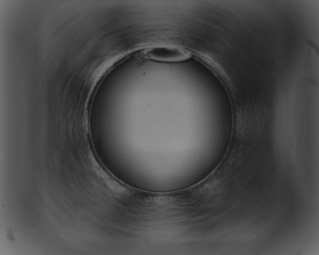 X0000101461380200807141257