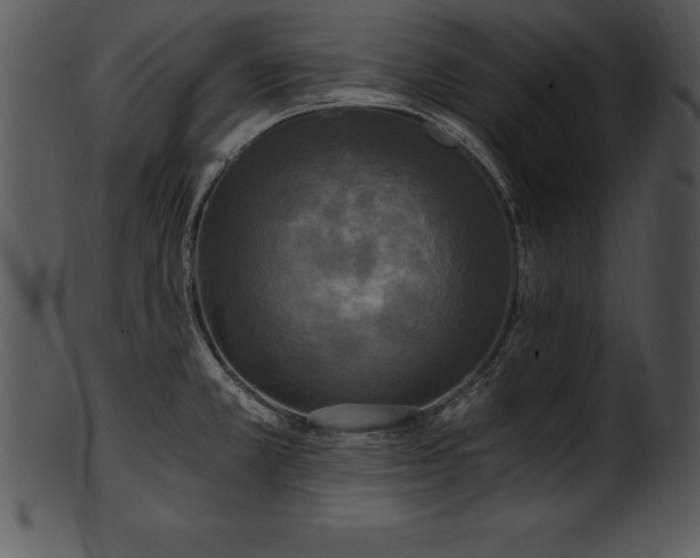 X0000101461381200807141257