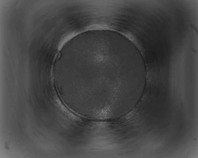X0000101461382200807141257