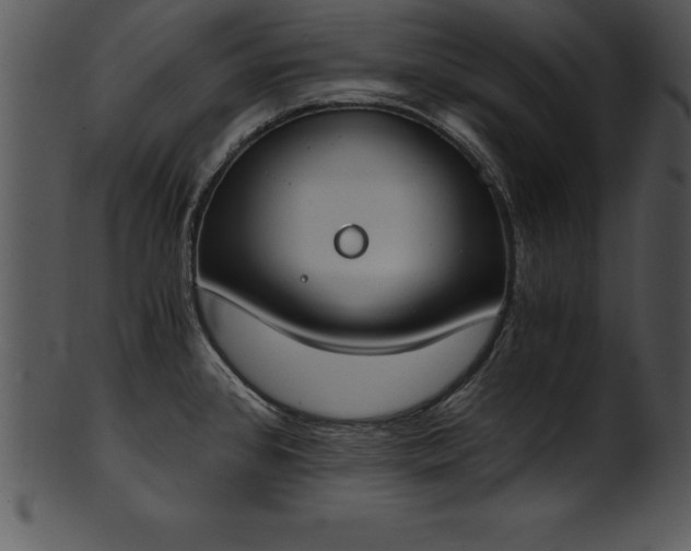 X0000101461384200807141257