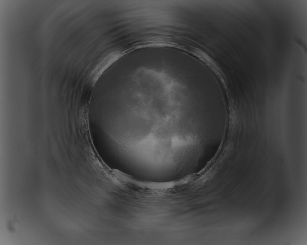 X0000101461385200807141257