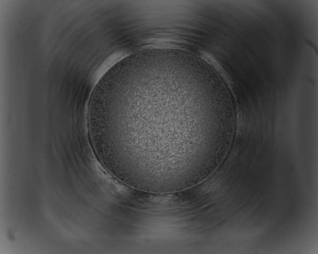 X0000101461386200807141257