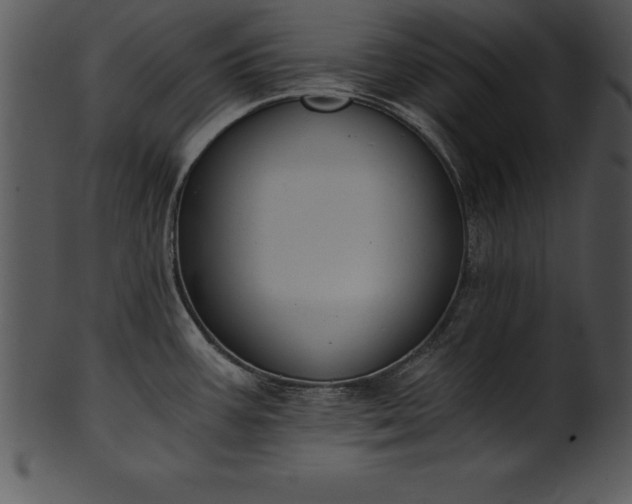 X0000101461387200807141257