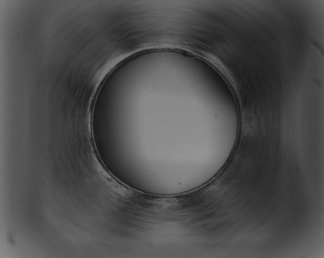 X0000101461388200807141257