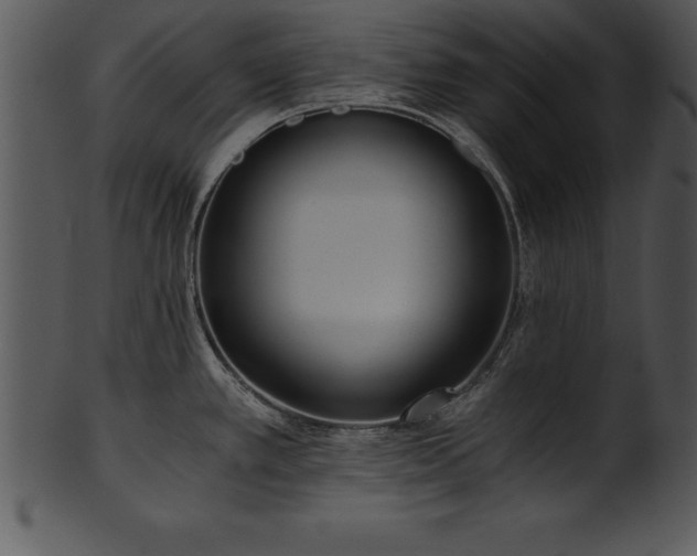 X0000101461389200807141257