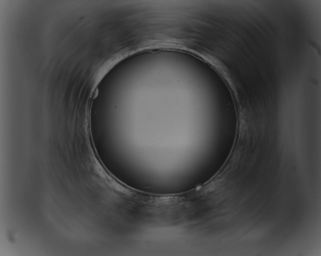 X0000101461390200807141257