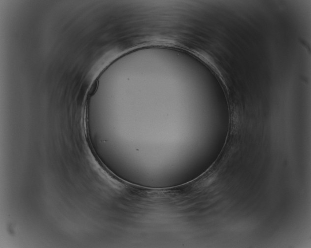 X0000101461391200807141257