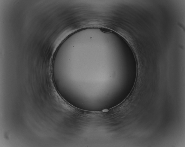 X0000101461392200807141257
