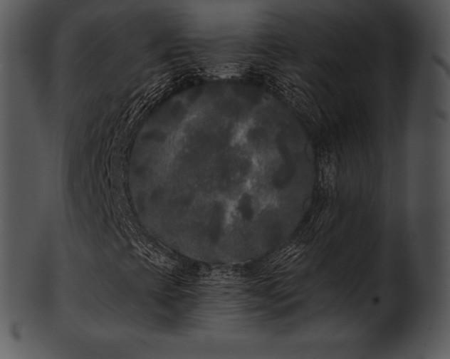 X0000101461393200807141256