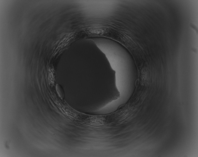 X0000101461394200807141256