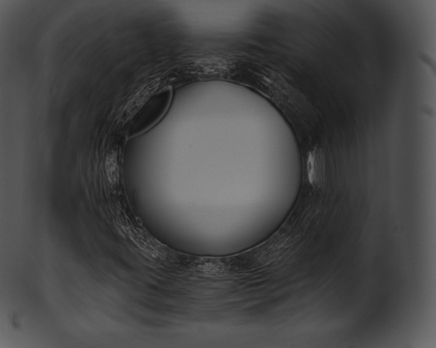 X0000101461395200807141256