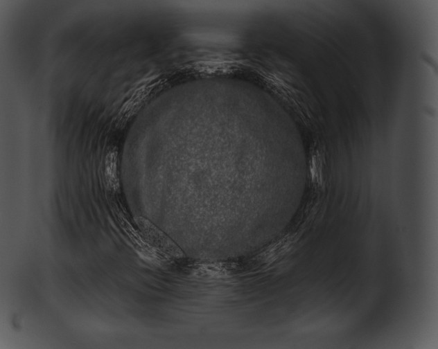 X0000101461396200807141256