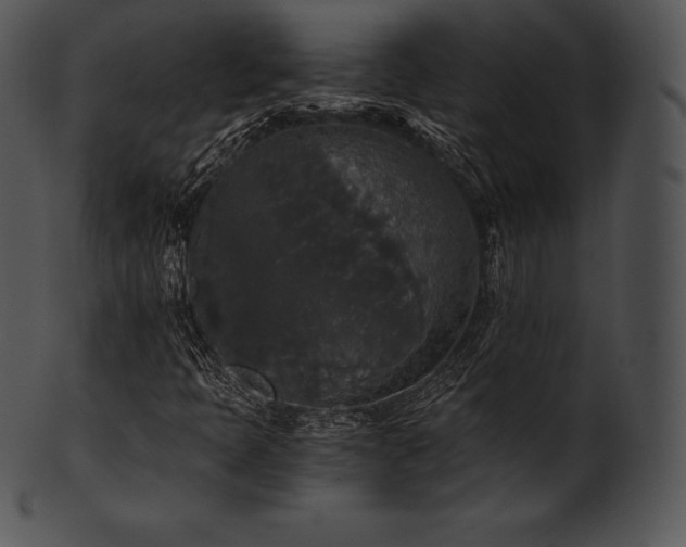 X0000101461397200807141256
