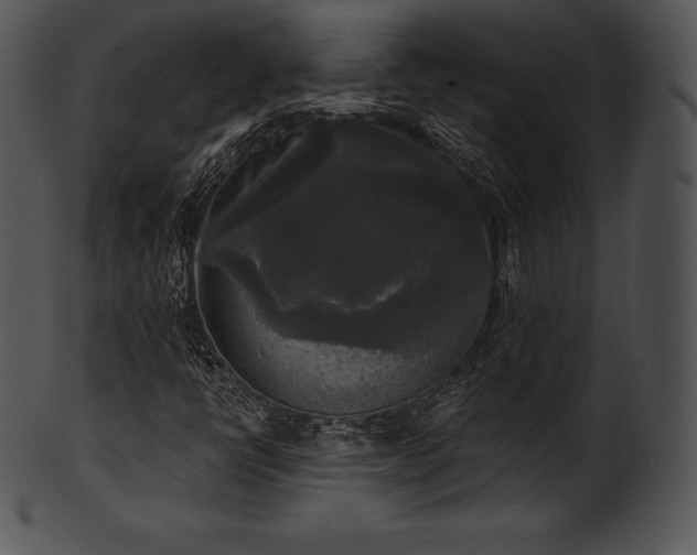 X0000101461398200807141256