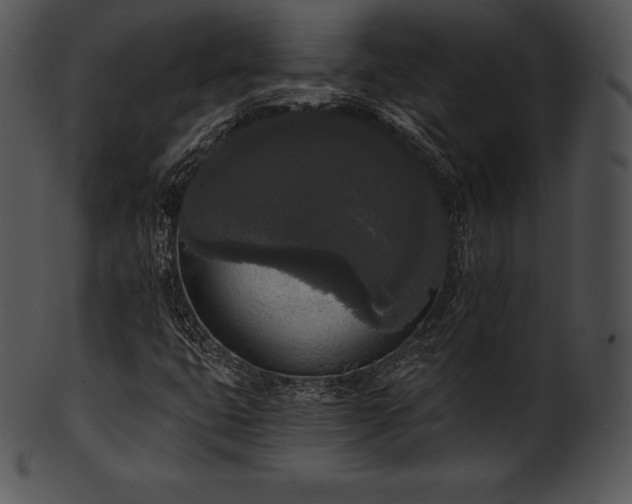 X0000101461399200807141256